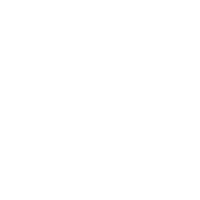 Centralized Backend Icon