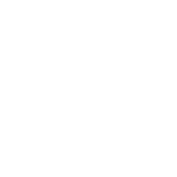 Centralized Backend Icon