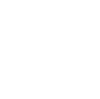 Centralized Backend Icon