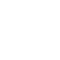 Centralized Backend Icon