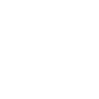 Centralized Backend Icon