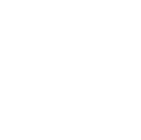 Centralized Backend Icon